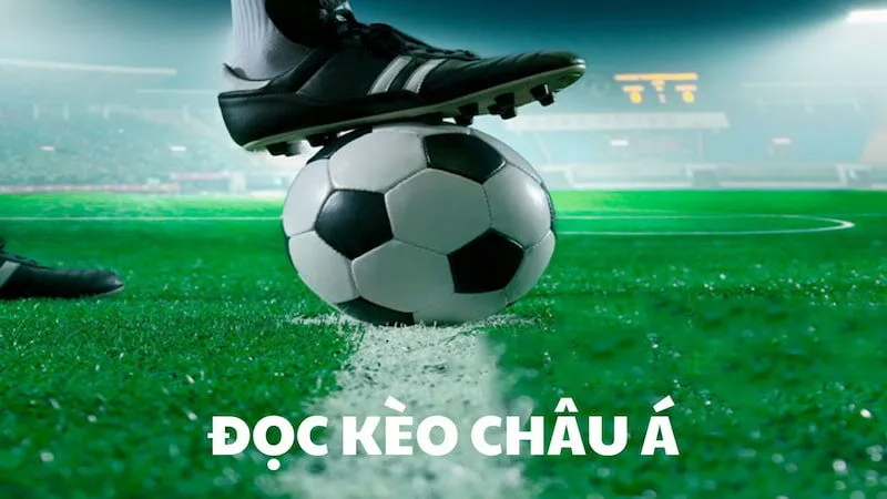 Lý do nên chọn kèo châu Á
